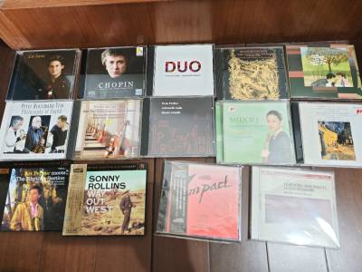 竹蜻蜓ECHO第三单