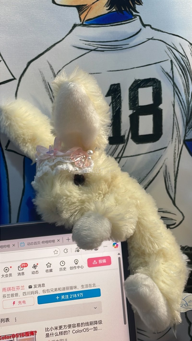 非常顺利的一次购物，物流也很流畅没有出现漏发延迟发货等等，客服回复很快！很喜欢砍价的功能！包装很好泡沫纸放了很多非常满意！永远拥护挖煤机！！