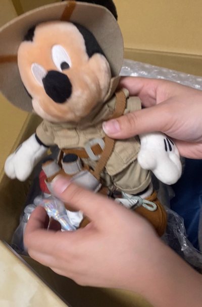 是一单海运迪士尼海淘，主要是米奇米妮中古毛绒，都带牌很新。海运时间长一点二十几天左右，但是收到没有运损非常好。感谢挖煤姬