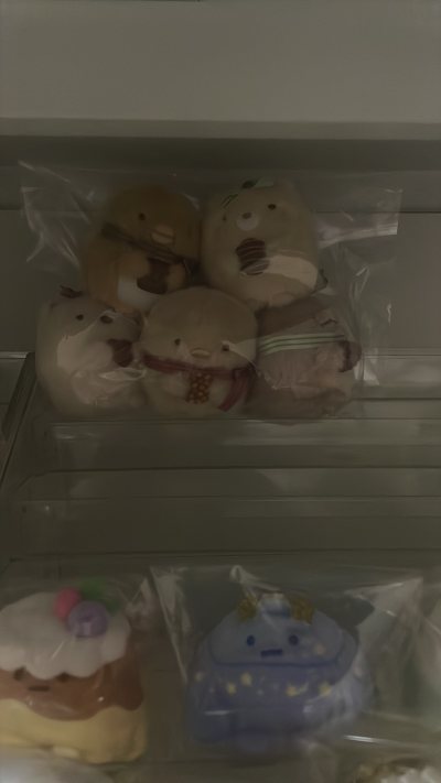 改政策后的一次邮寄 选择了竹蜻蜓plus专线 包税到手 淘到了优衣库联名角落生物 绿鹅和白熊保存状态很好 巧克力长毛系列美萌之