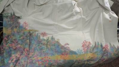 在挖煤姬的日淘体验太惊喜了！这次入手的中古和服正绢超出预期，对正绢描述非常细致真实，挖煤姬的翻译功能也很强大，实物比图片更美。从代拍到国际物流的每个环节都清晰省心，包装仔细，收到时状态完好。两件绝美作家物正绢付下。