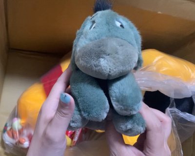 很有重量的一单海运。主要还是中古的大毛绒，状态都很好，很可爱的小驴跳跳虎和噗噗，不能不爱毛绒玩具。感谢挖煤姬