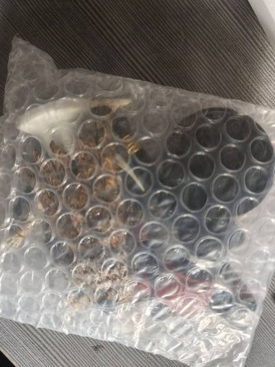 这是12月份第四次这套挖煤姬购物体验 ，这次买到的是假面骑士和龙珠的。假面骑士有打古巴和空我的扭蛋，龙珠的是基纽特战队瓶盖。