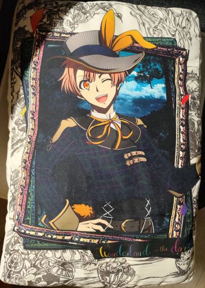 我本年度使用的最多的附加服务是加固服务，每次加固都会填满气泡膜，收到的时候没有损伤，很安心。
这次是在煤炉淘到了idolish7的抱枕，毛绒玩具，玻璃杯等。
因为体积大，但重量小，走了EMS航空线，不看体积，时效很快，一周左右就收到了，用积分抵扣运费，最后运费只有6...