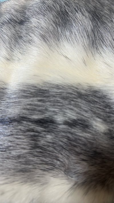 挖煤姬淘中古貂太香了！中文界面+自动翻译，再也不用对着日文描述抓瞎。入库拍照超实用，提前验货避坑，几天就收到货，毛质版型都绝了，海淘党狂喜！手感特别好，柔软细腻的，真不错！
