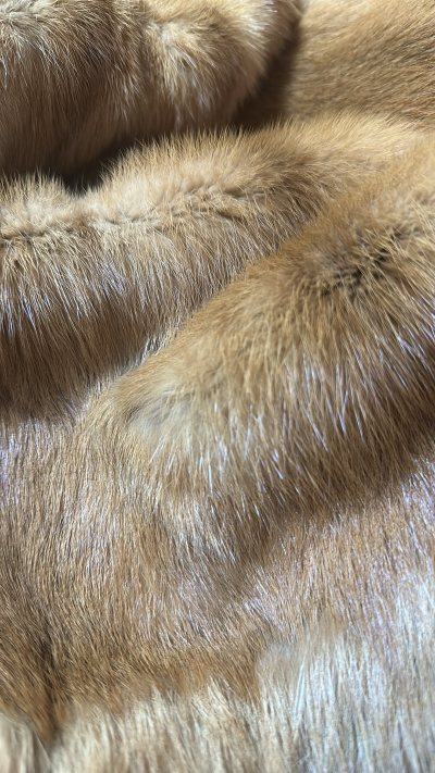 这件中古貂真的绝了！毛针细腻有光泽，底绒蓬松又厚实，上手软乎乎不压身，摸起来丝滑又有韧性，显贵又不笨重，成色新到像没怎么穿过，质感直接拉满，毛领部分的狐狸毛手感也是很丝滑。