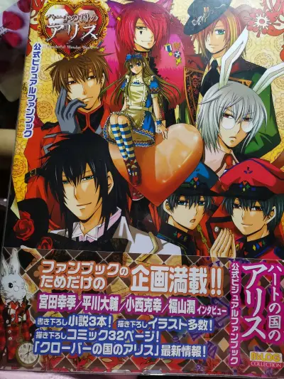 这种非常冷门的老游戏只在日本火过，想要在国内买到公式书基本都要200+，还好切煤就可以买日本这边的市价，一本也就是40-50RMB左右，算上国际运费也没问题??