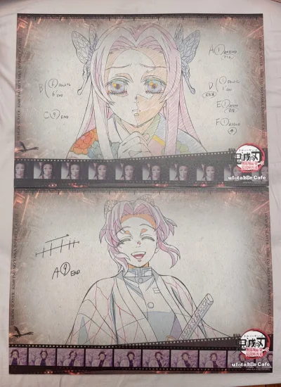 这次分享的是我在挖煤姬的1月海淘开箱，我购入的好物是鬼灭之刃餐垫和蝴蝶忍的dining拍立得。这次走的是EMS路线，包装的很牢固