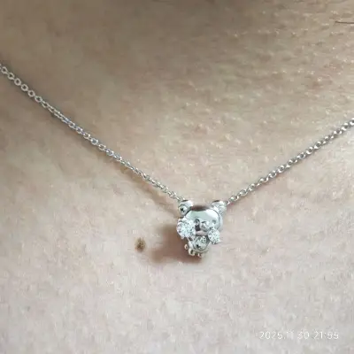 收到了超级可爱的熊妹项链，竹蜻蜓速度快，泡沫纸气到保护作用，包装精美，长度可调节，而且是官网发货，圆梦了！