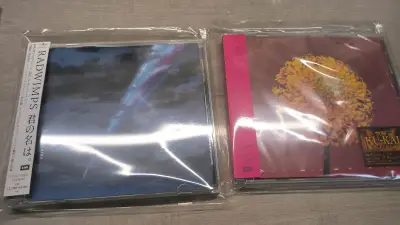 这次是在日亚上和煤炉上买的cd，走的是竹蜻蜓路线，500克只要700日元运费，价格很划算，大家快来试试吧


