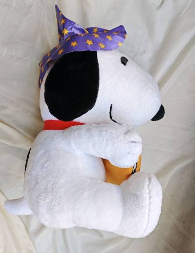 新手完全不用慌，中文界面操作简单，搜索毛绒关键词就能精准匹配，不管是中古毛绒还是新品限定，都能找到。我买的中古毛绒，卖家标注的轻微浮尘，收到后基本看不出来，打理一下就焕然一新，性价比远超预期。自动翻译功能太贴心，不用懂日语也能看清毛绒的所有细节的说明，避免误解。合单...