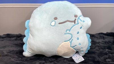 买到了超稀有的抱妈妈哭哭水龙，国内也超难定，然后还买到了超大集合的硅藻土杯垫，加固了，一点都没被磕碰，服务超好q w q