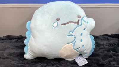 买到了超稀有的抱妈妈哭哭水龙，国内也超难定，然后还买到了超大集合的硅藻土杯垫，加固了，一点都没被磕碰，服务超好q w q