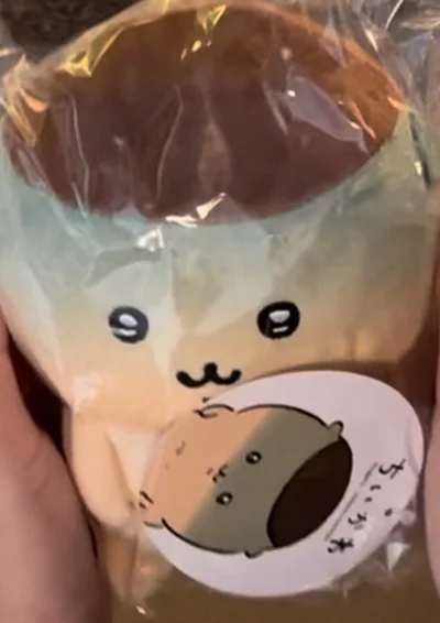 挖煤姬是一个专注于日本海淘的购物平台，它主要对接各种日本购物网站，让用户能够直接购买各式各样的中古闲置好物与新品周边。我这次合单的两个chiikawa毛绒都是在雅虎日拍上好价拍到的，卖家也没有收取很贵的国际运费，这的确是我的捡漏高光时刻✌️以后还会在挖煤姬吃吃吃的！...