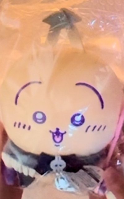 我又在挖煤姬的雅虎日拍激情下单了！这是两只恶魔乌萨奇玩偶，非常肥美可爱，价格也很优惠哦！挖煤姬是一个很不错的海淘平台，提供了完善的代切服务，客服响应及时，国际物流速度也很稳定，整体上体验很好～～以后还会继续在这里吃谷！～～～～o(^▽^)o