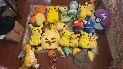 收到挖煤姬的大波宝可梦啦～很可爱很喜欢还是一如既往的好 说是30-40天 其实实际海运20天就到了～很愉快的一次购物～