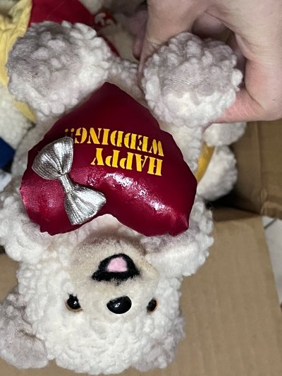 挖煤姬这个日淘平台也太好用了吧！这次淘的日系周边玩偶，从下单到收货全程都特别顺畅，平台的商品检索功能超贴心，能精准找到想要的日货，还能实时看到日本商家的库存和详情，完全不用怕沟通不畅的问题。物流选择也多，我选的空运专线速度快到惊喜，才几天就收到货了，包裹包装得严严实...