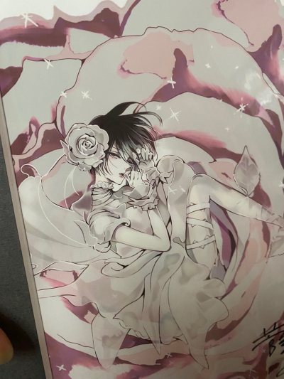 全世界限量10的美丽原画也是被我买到了……这幅画里的理查简直就是玫瑰仙子来的啊……还带作者的亲笔签名，我真的好喜欢！