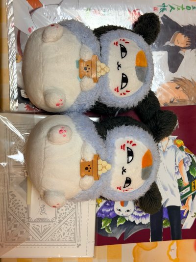 在挖煤姬本年度最喜爱的商品当然是猫咪老师啦，这次使用的竹蜻蜓专线，发货一共用了18天时间，到手状态非常好，我使用的最多的附加服务是留言，挖煤姬提供免费留言服务，可以咨询商品状态和议价，我今年在挖煤姬/挖煤姬省了很多多米，对2026的自己的新年祝福：希望吃到更多好...