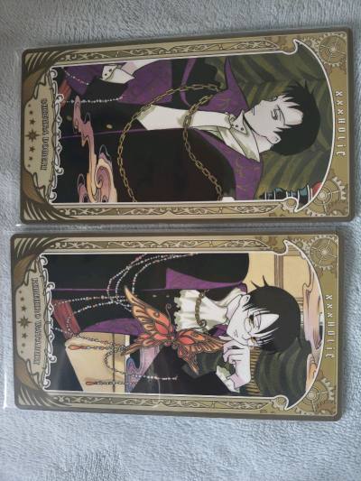 新年第一箱！但是被开箱并且被税了，呜呜呜呜～所以这箱国际非常非常的贵。买了家主大人的新谷，和可爱QQ人，还吃了一口xxxHolic的塔罗牌，便宜，爱吃！