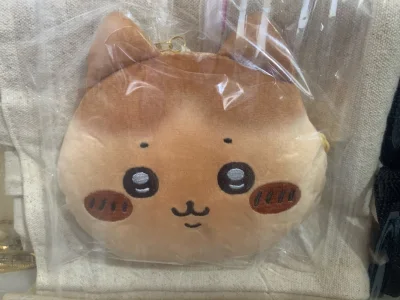 喜欢烤面包小八！坠萌的八八٩(˃̶͈̀௰˂̶͈́)و
这次选择的是小航空线，耗时：10.11号提交审核，10.12号审核通过，10.15号国际物流发货，10.28号正式到手。