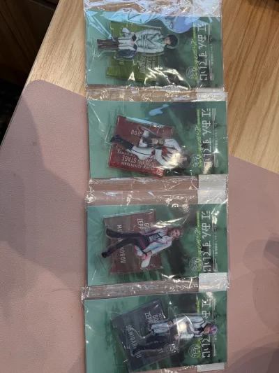 立牌很好看，收到后实物和图片一样，所见即所得。运输的包装非常讲究，包了两层泡泡纸。物流时间虽长但有保障。