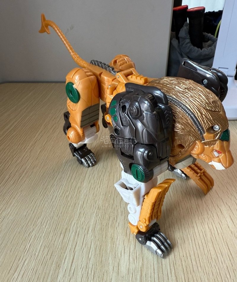 看到网上很多人说中古玩具水很深，但这只品相真的绝了，只有极轻微的岁月痕迹，这才是真正的复古韵味，老玩具值得购买。