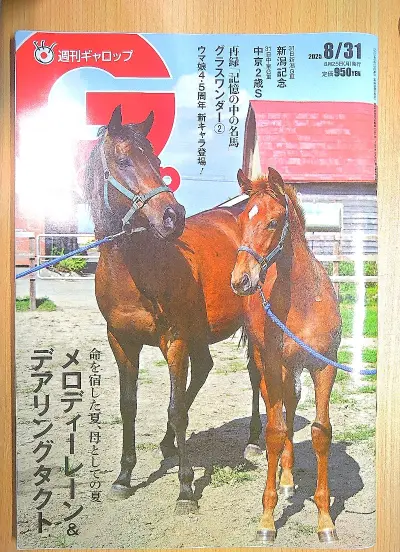 这次网购体验非常愉快！商品精美，与描述完全一致。物流速度快得惊人，次日就送达了。客服态度亲切，解答问题耐心细致。整体感觉便捷、放心，值得推荐！