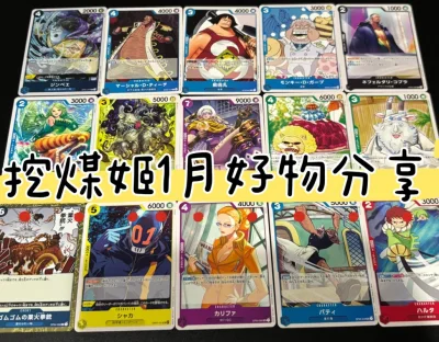 在挖煤姬代购了海贼王的OPCG卡牌青色卡组，整个体验非常满意！走海运只用了24天，效率很高。平台打包专业，防震措施到位，商品完好无损。客服响应迅速，代购沟通零障碍。运费合理透明，没有隐藏费用。绝对是日淘小众爱好者的首选平台，会长期使用！