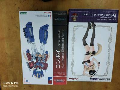 大家都看到自己挖煤姬的海淘报告了吗？不知不觉又通过挖煤姬海淘了一年，这一年利用优惠劵节约了不少米，还给不少商品增加了加固服务，挖煤姬的基础服务还是非常令人安心的。言归正传，这次呢，又从日拍上蹲到了寿屋的变形金刚擎天柱的娘化机娘还有gsc的拼装机娘，也算是好价...