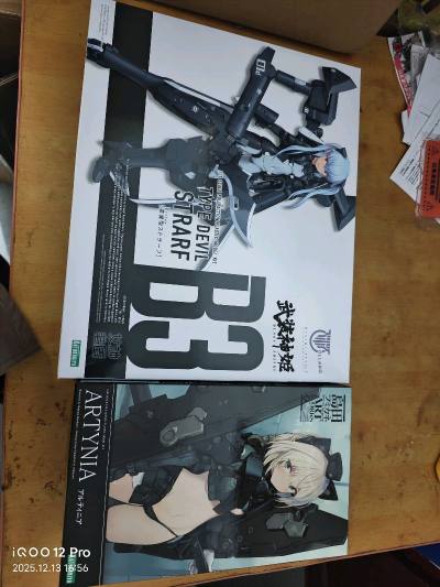 这次买的是寿屋的武装神姬恶魔型以及金田正岛的机娘。这次的箱子依旧八角尖尖，还是走竹蜻蜓专线，从发货到到手不过12天。令我放心。挖煤姬当属海淘的好去处，适合我这种喜欢老番的玩家去淘点冷门的玩意。