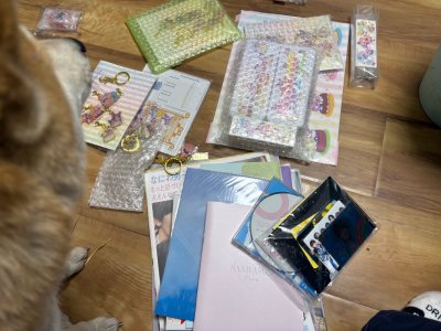 谁懂啊！在挖煤姬淘的道枝骏佑周边也太绝了！实物和图片完全没差，烧普的印刷超清晰，少年感直接溢出屏幕，小卡的质感也超棒，摸起来滑溜溜的。包装特别用心，气泡膜裹得严严实实，跨国运输一点磕碰都没有。物流速度比预想快很多，全程状态更新及时，等件完全不焦虑。操作简单又靠谱，好...