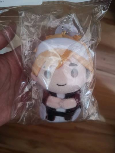 这次切的东西比较少但是因为心心念念所以迫不及待先寄回来了，挖煤姬特别的贴心设置了一百日元一档的运费，特别方便我们小食量的邮寄再也不用心疼国际运费啦！