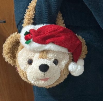 依然是圣诞达菲包包，挖煤姬给我刷到了很久之前的卖家商品！其他app没有刷到，我直接好价拿下，这一单走的是竹蜻蜓，特别快就拿到手了！无敌可爱的胖宝宝！依然支持挖煤姬！我是忠实的信徒！