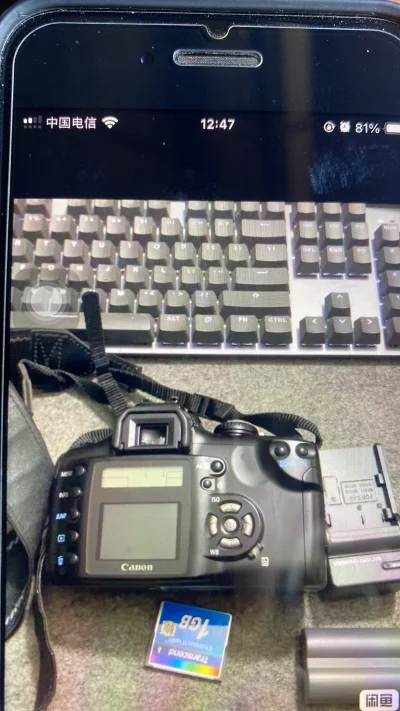 挖煤姬淘的佳能300D配100-300mm长焦太香！等效480mm打鸟拍月超给力，机身成色新，镜头对焦稳。包装严实物流快，长焦党入门狂喜！