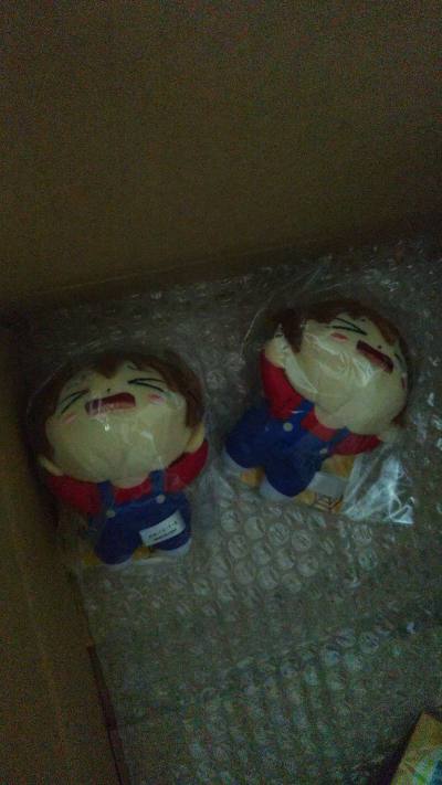 家庭教师沢田纲吉