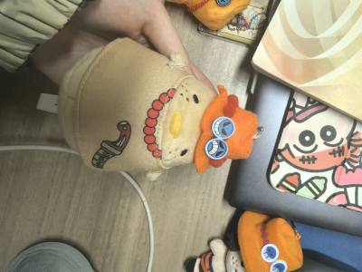 挖煤姬界面简洁，搜索功能强大，找绝版周边一找一个准。翻译准确，切煤速度超快，包装还严实。物流也给力，用竹蜻蜓 15天左右就到手，价格还划算。这次切到的玩偶也超级萌，运输也很安全！“ψ(｀∇´)ψ