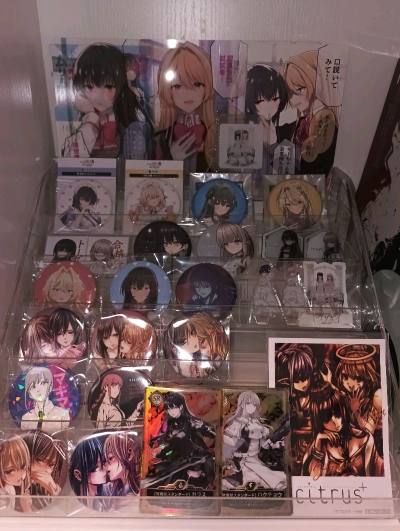 依旧美丽，商品没问题，包装的很好，运输也没有出瑕疵，安全到手，走竹蜻蜓物流很方便，不用操心手续安全到家