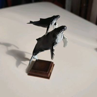 在挖煤姬海淘的商品又到货了，挖煤姬是一个非常专业的海淘平台，不仅合单免费，而且还有积分抵扣运费的活动，用积分抵扣运费之后国际运费非常划算！客服响应也很迅速，物流速度快，打包非常严实，从下单到收货体验非常好，总体非常开心满意！