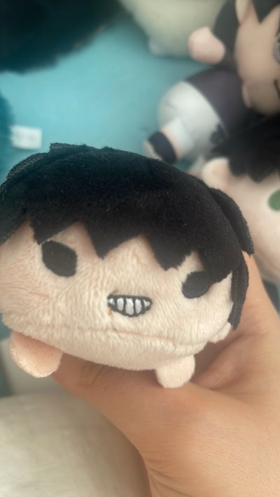 本来很担心亚克力会碎掉，但其实平安送到手上了！还有小玩偶也是干干净净顺利到家。用上购物券后会优惠一点，好喜欢买到的宝贝们，会好好珍惜的！