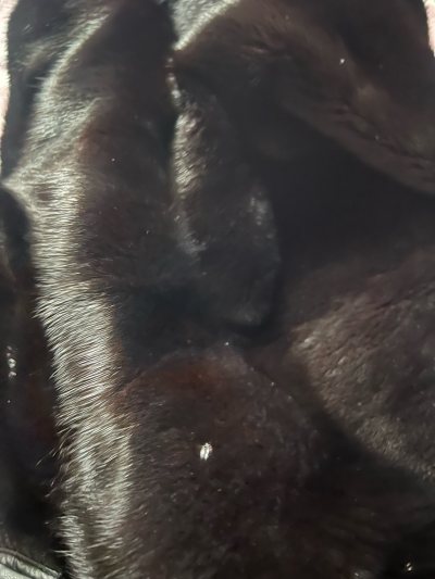 开箱开箱，包装还是很给力哦！严丝合缝无破损，海运还是很安心的，速度依旧，十几天就到了，丝滑下车，买的衣服也是很好没啥大问题，继续支持挖煤姬