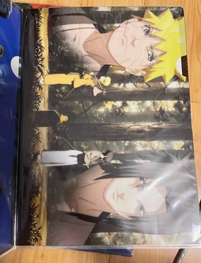 这次走的是竹蜻蜓plus包税线，因为切的太多了，直接超出了，然后算了一下很贵，所以走的包税线，运回来挺快的，这次切了很多喜欢的中古物品，都是我喜欢的文件夹，文件夹是a4的，柄图又大又好看，这个徽章也是我赶上骏河屋折扣买的