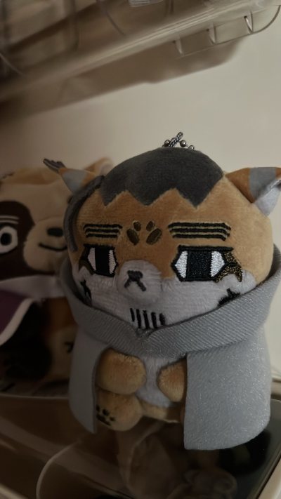 这个金卡姆真的太可爱了！通过挖煤姬app海淘，过程超级顺畅，包装完好完全没磕碰～
本体是软软的毛绒材质，手感一级棒，摸起来超级舒服！经典的军装+围巾造型，细节还原度很高，尤其是那双大大的圆眼睛和标志性的表情，真的戳中我笑点，一看到就忍不住想rua！（照片里他安静地坐...