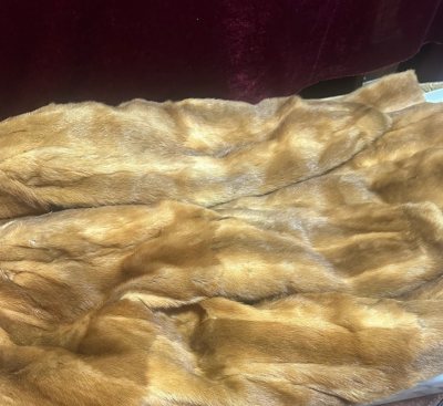 感觉这个颜色很好看，很新鲜，在一堆黑棕色中，脱颖而出。给人一种整体很明亮的感觉。毛针也很短，很顺。很满意的一次购物！