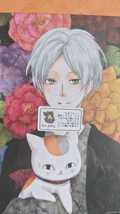 夏目友人帐对战卡切煤