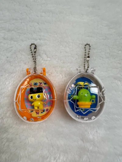 等得花儿都谢了，终于到了，这个牌子收纳袋质量好，也很贵，终于买到手了，挂件也是停产挂件了，稀有，收藏了