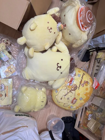 谢谢挖煤姬，这一场的快递也是安全到家啦，快递箱很扎实，这么多胖狗狗在一个箱子里也没有问题！辛苦各位工作人员啦！