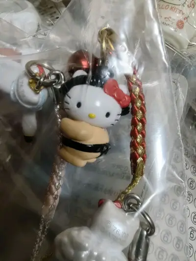 在挖煤姬切的第25箱了，超级超级多好东西，都是可爱的小东西。走的是竹蜻蜓plus，速度超级快，价格便宜，好用爱用。
