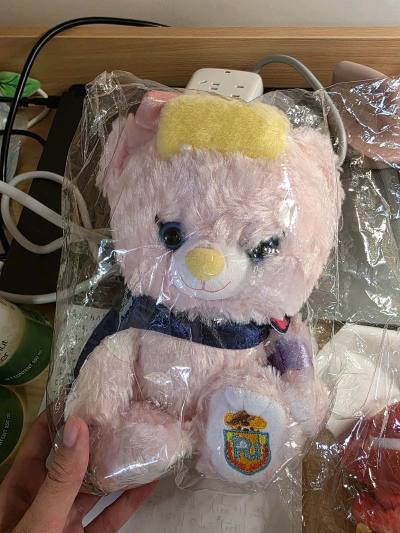 这次在挖煤姬买了不少玩具总动员的周边哦～然后选了六个一起发货，因为是用的竹蜻蜓专线所以不仅运费便宜，速度也很快，推荐大家优先购买可以走竹蜻蜓专线的物品。