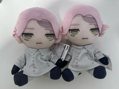 这一箱蹲到了好多好价和玩偶 阿乾到家很顺利 物流选的还是ems很快就到家啦 到手后很震惊泡沫纸非常多而且箱子质量也很好